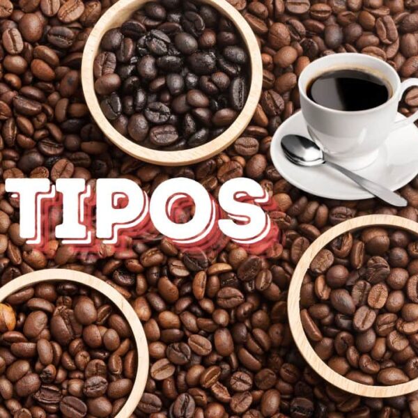 Tipos de Café