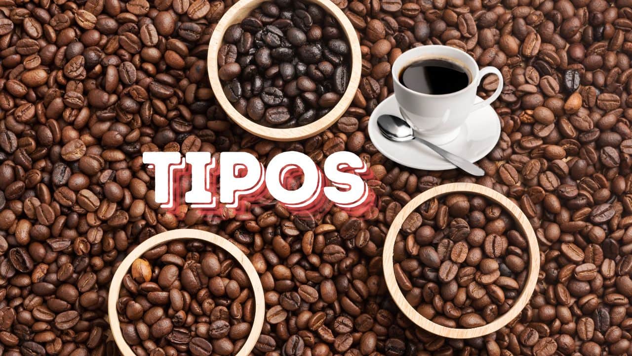 Tipos de Café